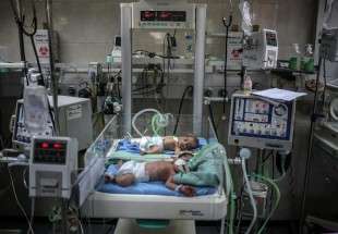 3,651 babies born in Gaza in February