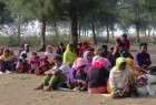 ‘Ethnic cleansing of Rohingya continues’