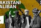 طالبان مسئولیت حمله انتحاری به پلیس پاکستان را پذیرفت