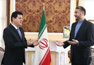 Amir-abdollahian receives Syrian amb. To Tehran