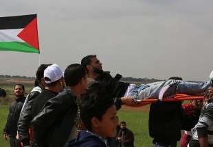 أخر حصيله  نيران الاحتلال اصابة 27 مشاركا (حتى ظهر الجمعة) بمسيرة العودة بغزة