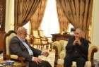 Iraqi political figure hails Iran