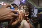 Kremlin warns of assumptions on Syria chemical attack