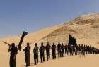 حمله عناصر داعش به نیروهای ارتش مصر