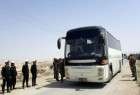 بدء عملية اخراج ارهابيي جيش الاسلام من بلدة الضمير الى جرابلس