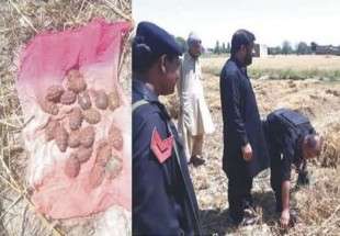 ڈیرہ اسماعیل خان میں کھیتوں میں چھپائے گئے بیس دستی بم برآمد
