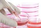 Iran to launch first stem cell factory