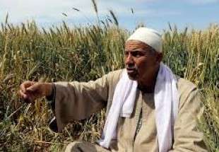 مزارعون مصريون يواجهون مصيراً مجهولاً بسبب سد النهضة الأثيوبي