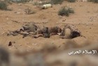 عربستان به مرگ سه نظامی خود در مرز یمن اعتراف کرد