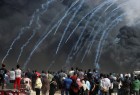 Three other Palestinians killed by Israeli forces in Gaza Strip