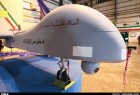 Les forces navales iraniennes disposent une gamme diversifiée de drones