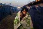 Moussons au Bangladesh menacent de plus les réfugiés rohingyas