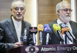 Iran cannot be easily pressured in face of US plans: Salehi