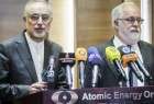 Iran cannot be easily pressured in face of US plans: Salehi