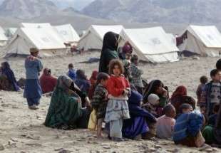 افغان مہاجرین کی واپسی کا عمل سست روی کا شکار