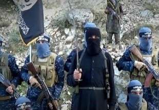 گسترش درگیری میان عناصر داعش و طالبان در شرق افغانستان