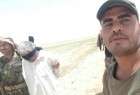 دستگیری یک فرمانده داعشی در استان صلاح الدین عراق