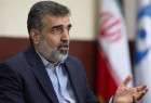 Iran able to resume 20-percent enrichment in maximum of 2-3 days