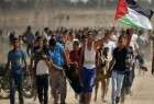 آمادگی قاهره برای کنفرانس بین‌المللی حمایت از غزه