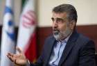 كمالوندي: إيران ستبلغ الوكالة الدولية للطاقة بإجراءاتها في بناء 190 الف وحدة فصل