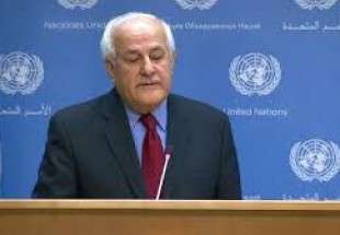 Palestine calls UN resolution for probe into Israel’s killing of Gazans