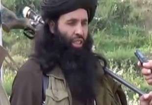 ​رهبر طالبان پاکستان کشته شد
