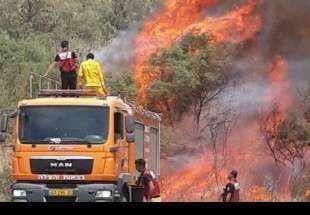 اندلاع 11 حريقاً في مستوطنات "غلاف غزة" بفعل الطائرات والبالونات الحارقة