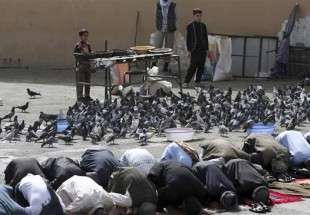26 killed in blast targeting Taliban, Afghan forces meeting