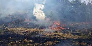 Terrorists set southwest Syrian farmlands on fire