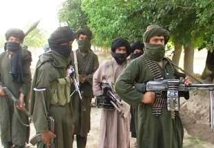 طالبان یک مقام دولتی افغانستان را ترور کرد