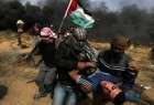 Over 200 Palestinians wounded in clash with Israelis