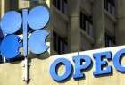 OPEC OKs rise of output from July