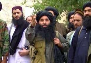 حركة طالبان الباكستانية تؤكد مقتل زعيمها وتعين خلفا له