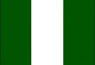خمسة قتلى في اعتداء لبوكو حرام على بلدة في نيجيريا