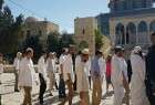 تعرض مجدد شهرک نشینان صهیونیست به مسجد الاقصی