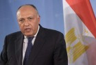 وزير الخارجية المصري: لا حلول عسكرية لأزمتي سوريا وليبيا