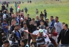 Young Palestinian man shot dead by Israeli forces in Gaza Strip