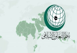 ​اعلام همبستگی سازمان همکاری اسلامی با سومالی جهت مبارزه با تروریسم