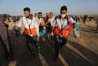 136th Palestinian killed as Gaza protests against Israel enter 4th month