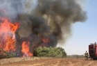 حريق في مستوطنة صهيونية بفعل بالون حارق