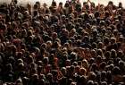 World population may reach 10 billion by 2050