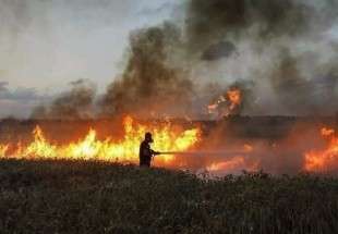 22 حريقا في حقول مستوطنات غلاف غزة خلال 24 ساعة
