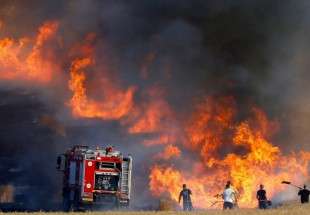 الطائرات الورقية الحارقة تفعل فعلها.. أكثر من 1000 حريق في المستوطنات حتى الآن