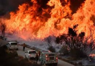 کیلیفورنیا کے جنگلات میں لگی آگ پر قابو پانا مشکل ہوگیا