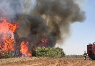 18 حريقا في مستوطنات غلاف غزة بفعل الطائرات والبالونات الحارقة
