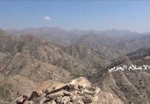 اليمن: تطهير عدد من التباب في لحج