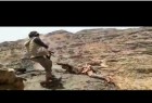 جنایت مزدوران سعودی در اعدام اسیر یمنی، بدتر از داعش است