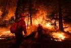 30% فقط من حرائق كاليفورنيا تحت سيطرة رجال الإطفاء