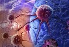 ​کشف دارویی جدید که سلول‌های سرطانی را به خواب می‌برد
