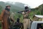 چرا طالبان معتقد به دولت و داعش قائل به خلافت است؟!
